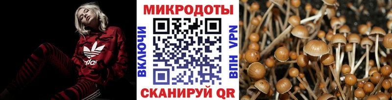 omg рабочий сайт  Ейск  Галлюциногенные грибы мухоморы  купить закладку 